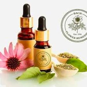 Descuentos en Terapias Cuánticas y Naturales