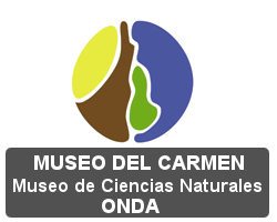 Descuentos en Museo del Carmen